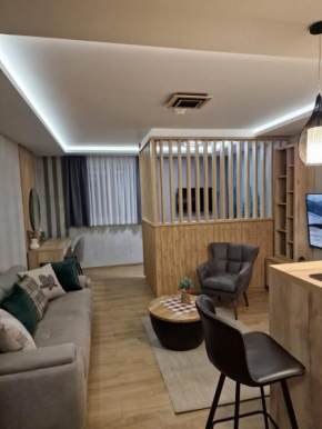 Apartman 318 - Sun��ana Planina
